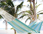 Cielo Hammocks Oso Bacalar Standard