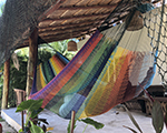 Cielo Hammocks Hammock Bakal